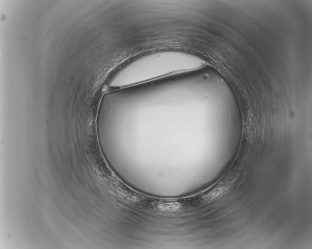 X0000052600355200507292129