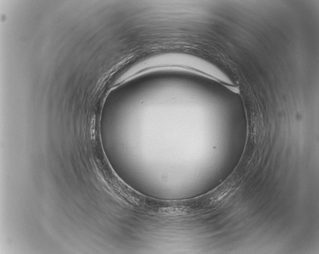 X0000052600356200507292129