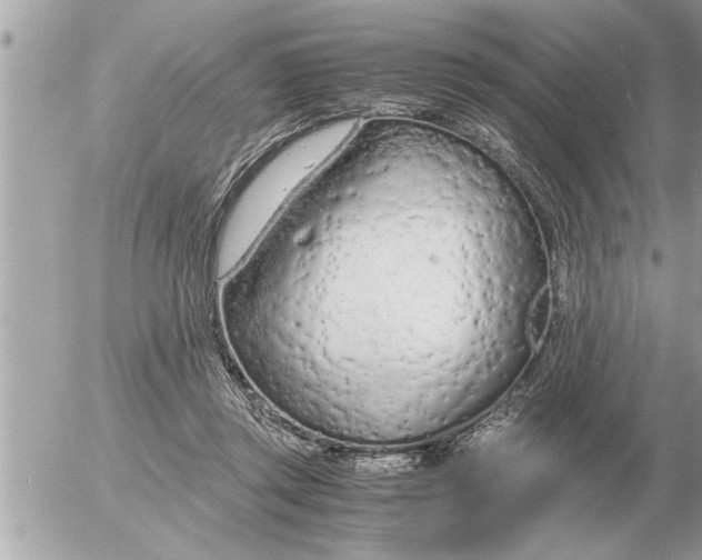 X0000052600357200507292129