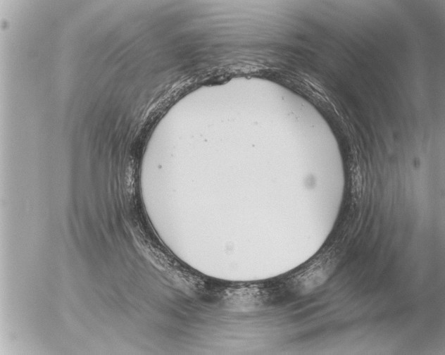 X0000052600362200507292129