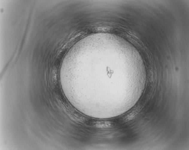 X0000052600363200507292129