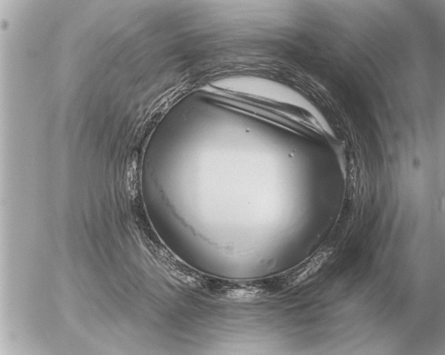 X0000052600364200507292129