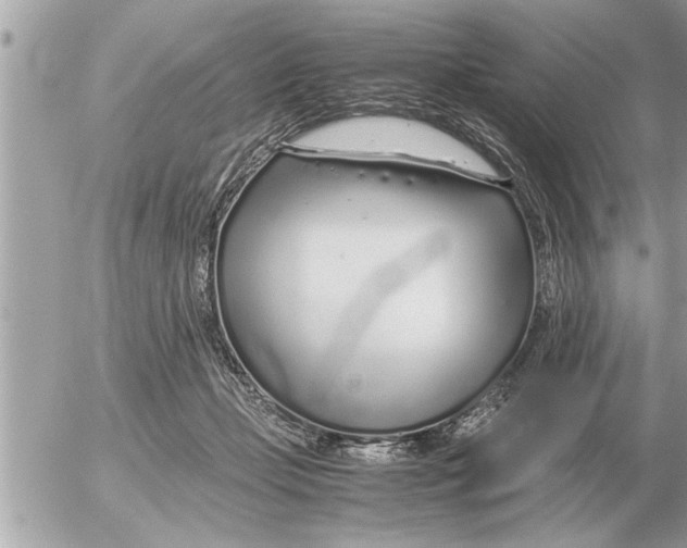 X0000052600365200507292129