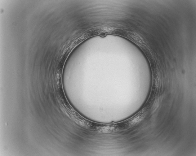 X0000052600366200507292129