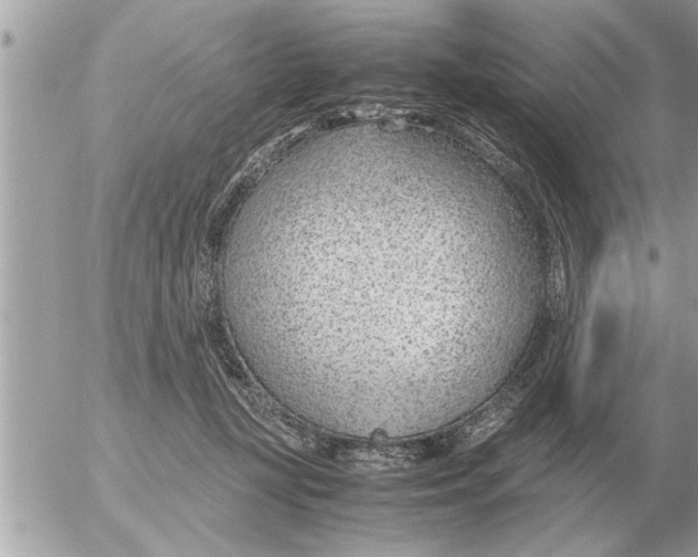 X0000052600367200507292129