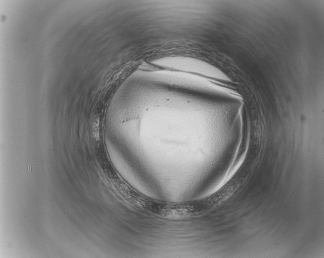 X0000052600368200507292129