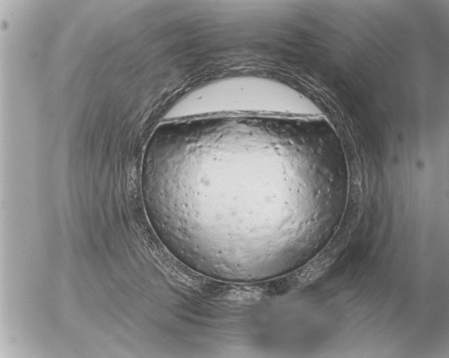 X0000052600369200507292129