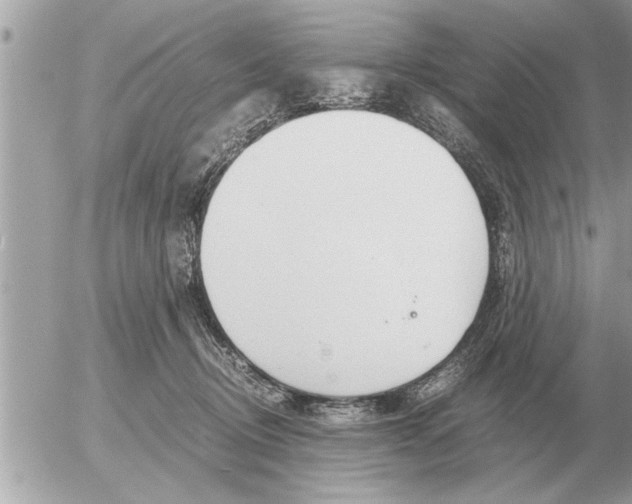 X0000052600370200507292129