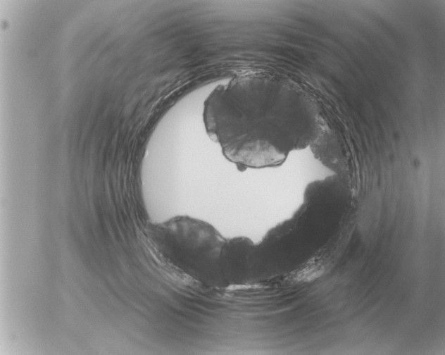 X0000052600371200507292129