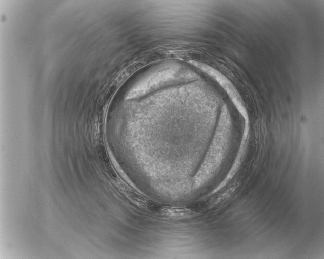 X0000052600372200507292129