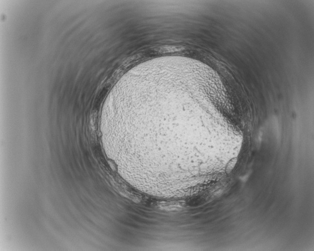 X0000052600373200507292129