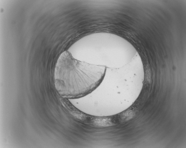 X0000052600375200507292129