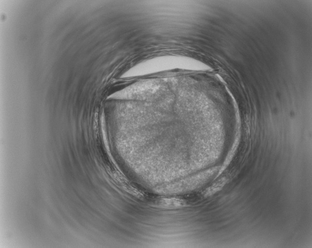 X0000052600376200507292129