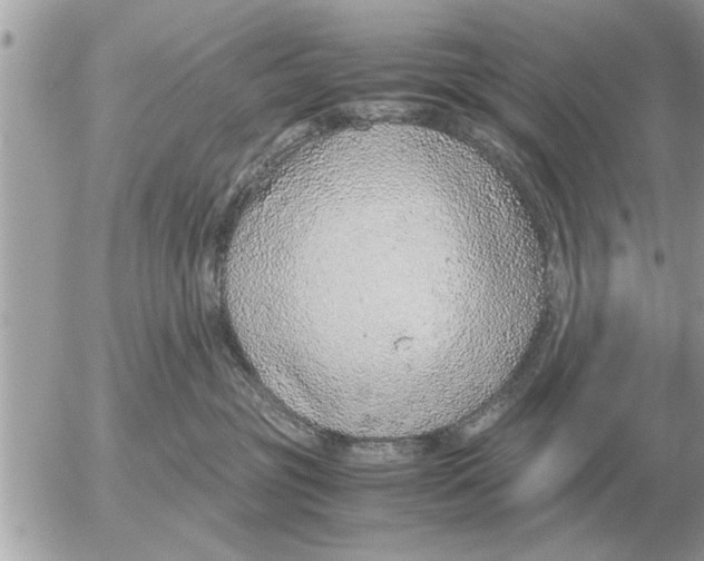 X0000052600381200507292129