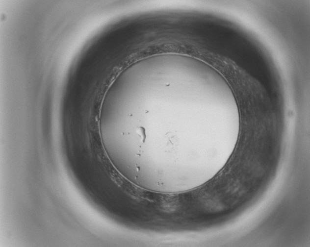 X0000052600382200507292129