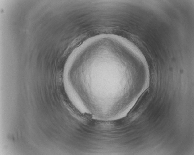 X0000052600383200507292129