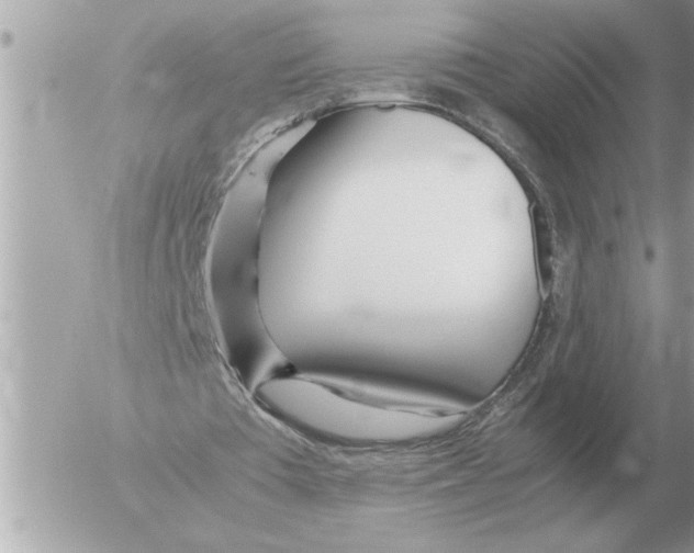 X0000052600385200507292128