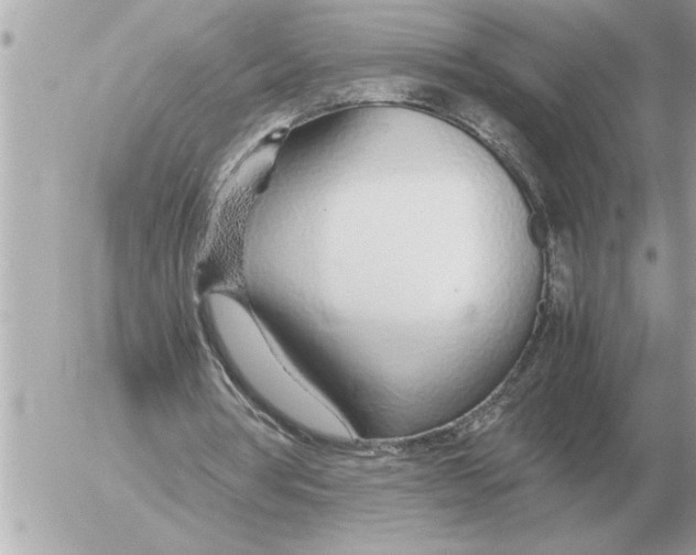 X0000052600386200507292128