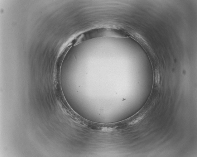 X0000052600388200507292128