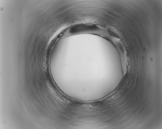 X0000052600392200507292128