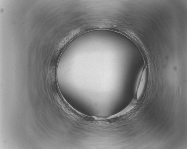 X0000052600393200507292128