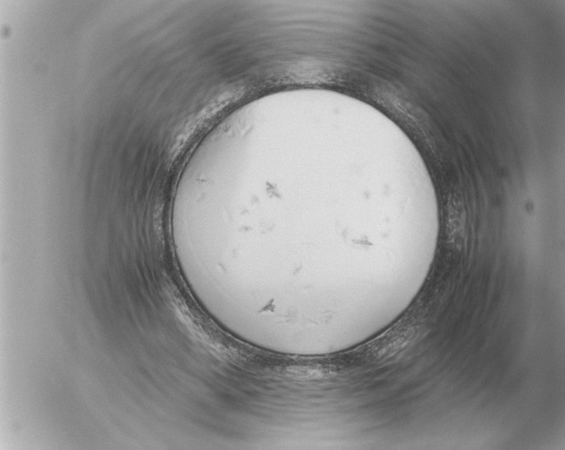 X0000052600394200507292128