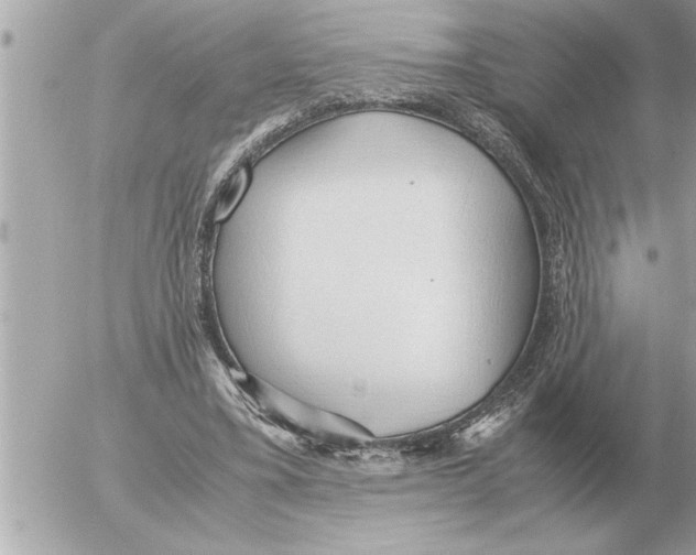 X0000052600395200507292128