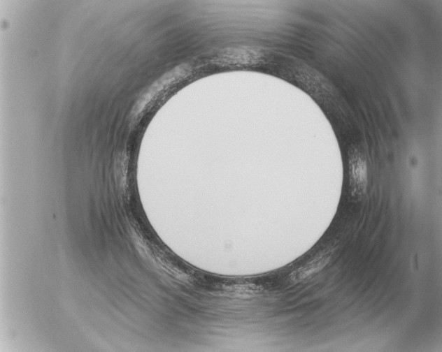 X0000052600396200507292128