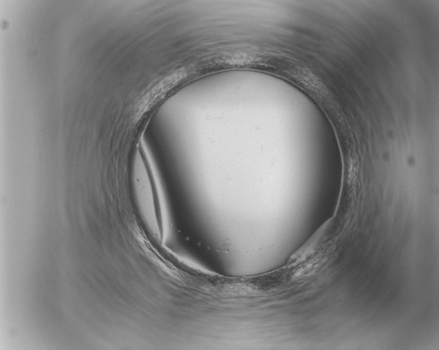 X0000052600397200507292128