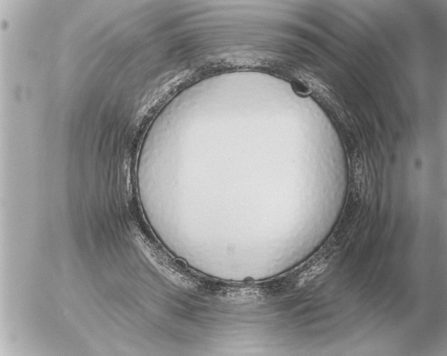 X0000052600398200507292128