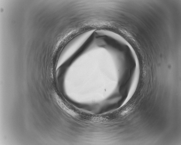 X0000052600399200507292128