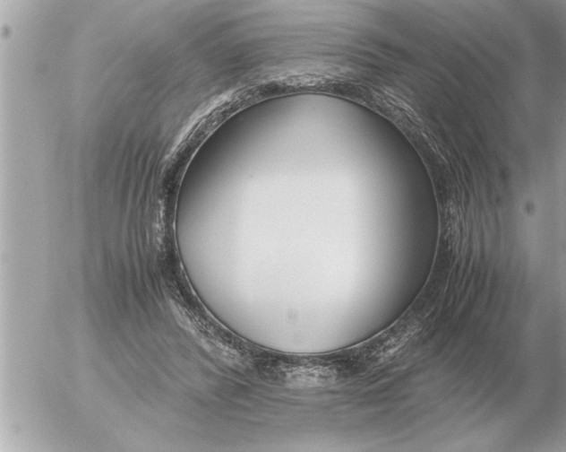 X0000052600400200507292128