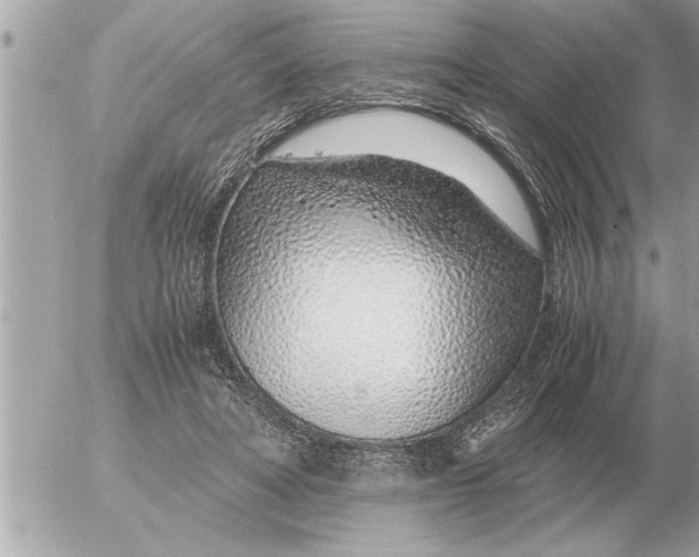 X0000052600402200507292128