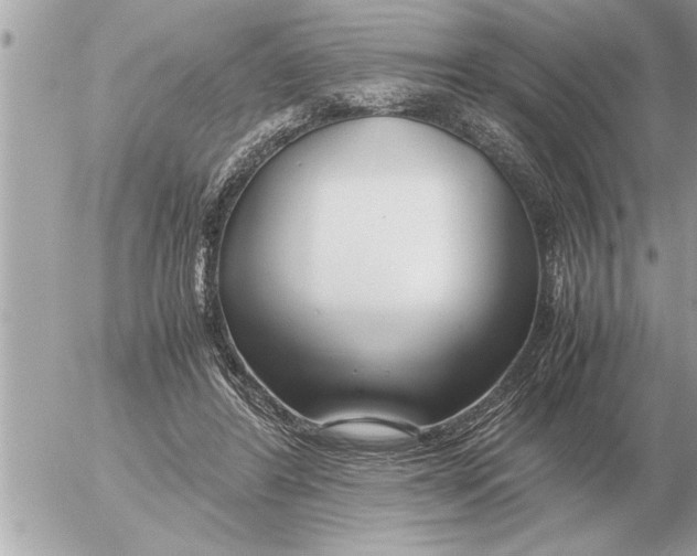 X0000052600404200507292128