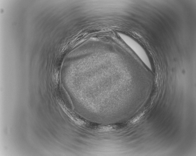 X0000052600405200507292128