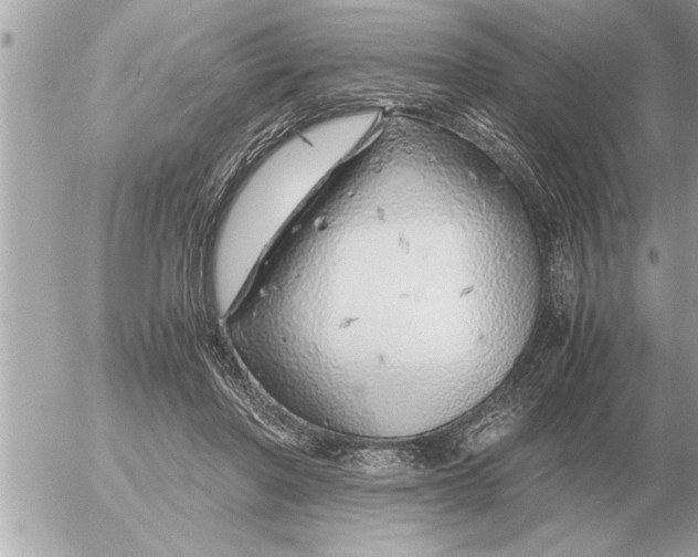 X0000052600406200507292128