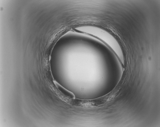 X0000052600407200507292128