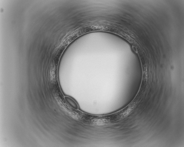 X0000052600408200507292128