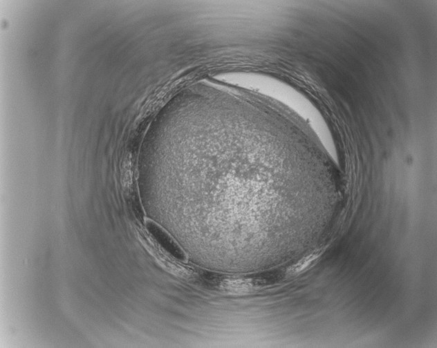 X0000052600413200507292128