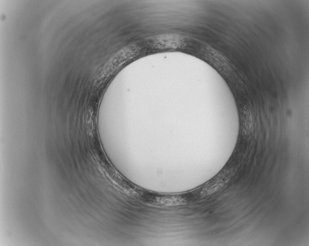 X0000052600414200507292128