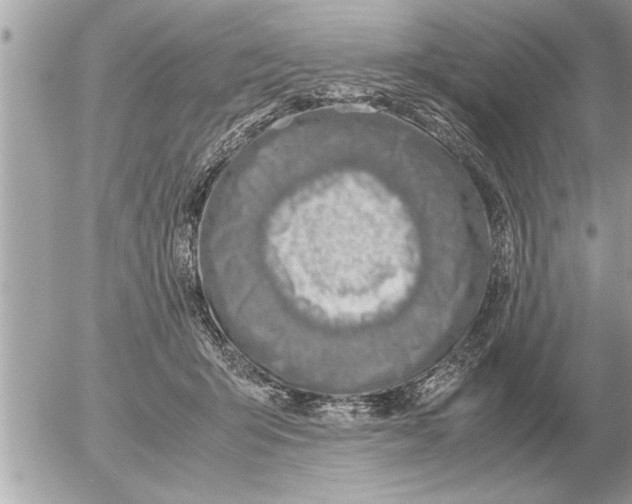 X0000052600415200507292128