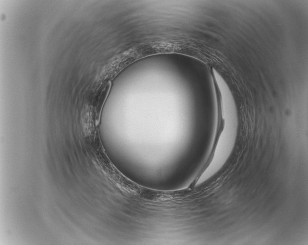 X0000052600416200507292128