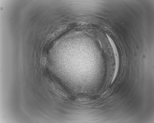 X0000052600417200507292128