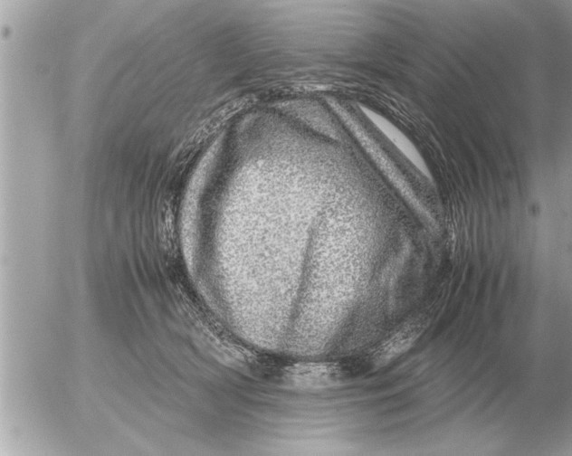 X0000052600418200507292128