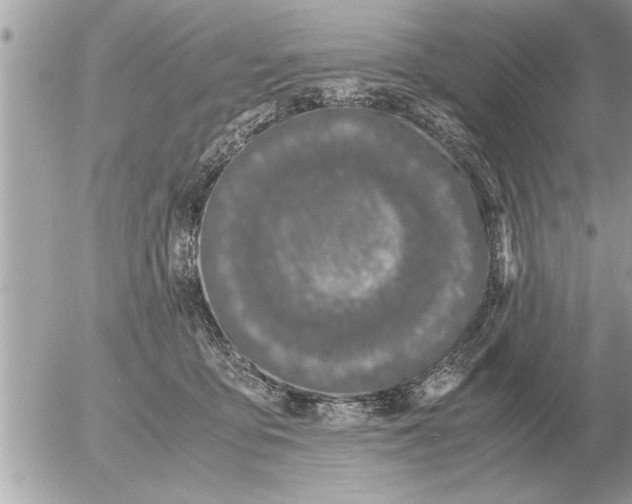 X0000052600419200507292128