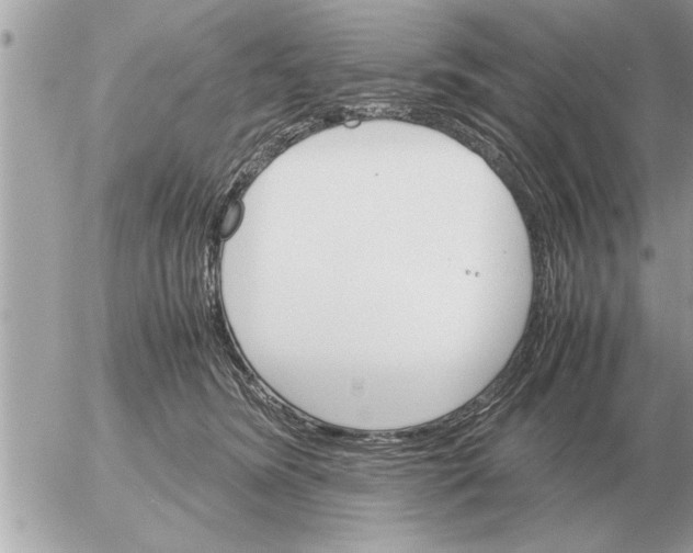 X0000052600420200507292128