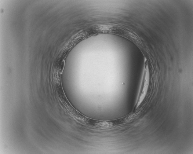 X0000052600421200507292128