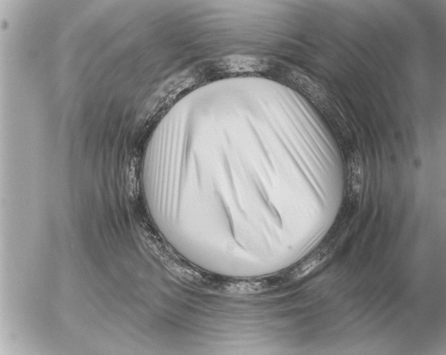 X0000052600422200507292128