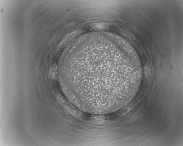 X0000052600423200507292128