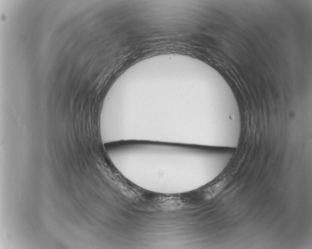 X0000052600424200507292128